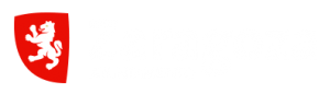 Ayuntamiento de Zaragoza